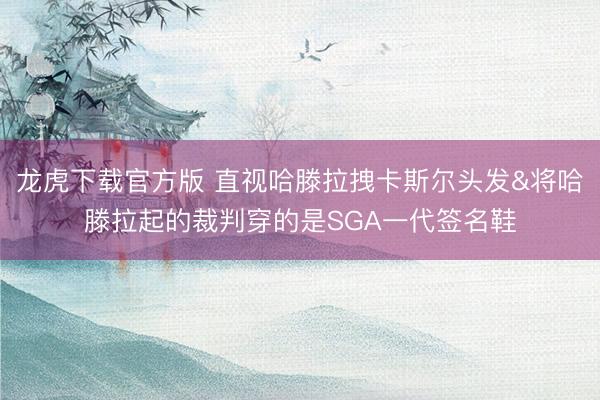 龙虎下载官方版 直视哈滕拉拽卡斯尔头发&将哈滕拉起的裁判穿的是SGA一代签名鞋