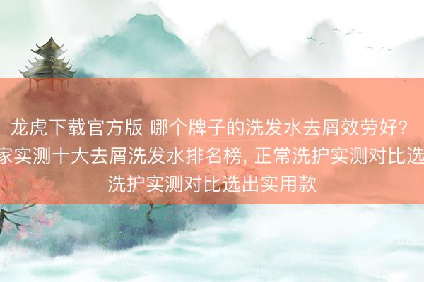 龙虎下载官方版 哪个牌子的洗发水去屑效劳好? 2026 大家实测十大去屑洗发水排名榜， 正常洗护实测对比选出实用款
